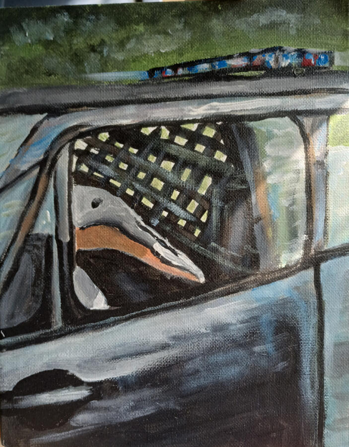 Pelican under arrest